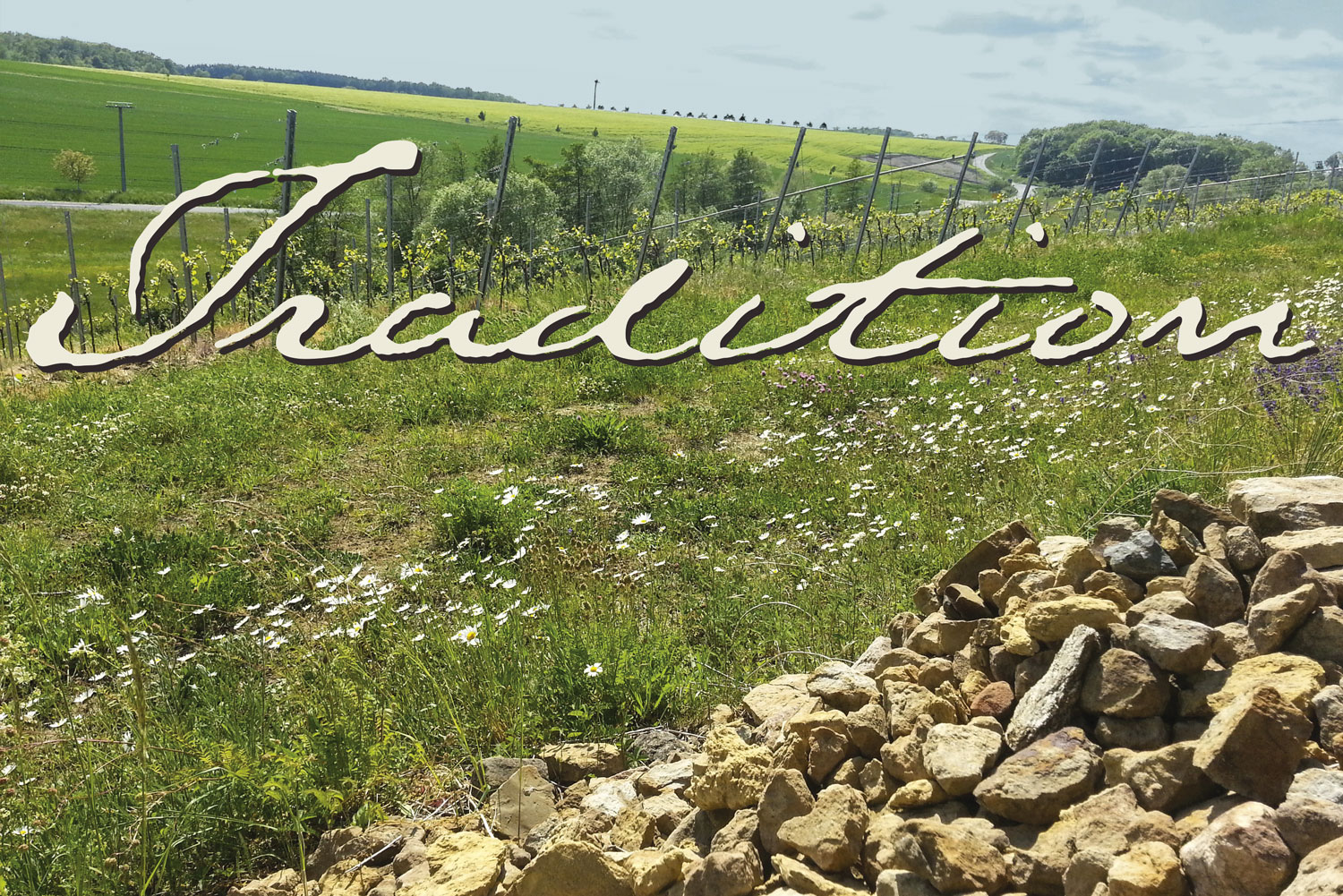 TRADITION - KLASSISCHES FRANKEN